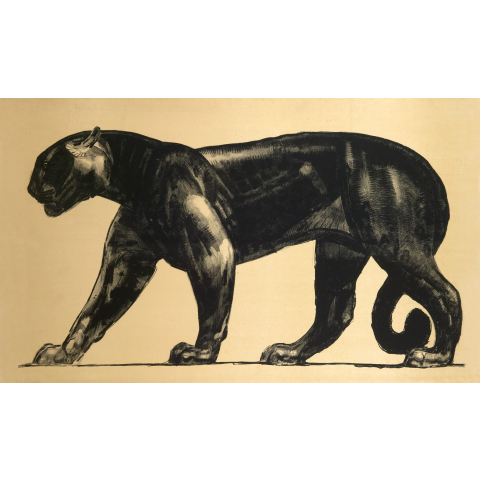 Jaguar noir. C 1920